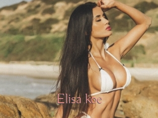 Elisa_koe