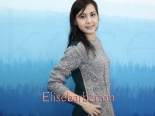 Elisebarberton