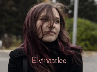 Elvinaatlee