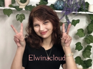 Elwinacloud