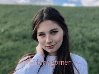 Erlenegomer