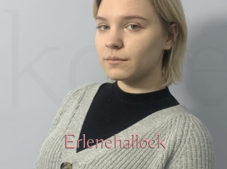 Erlenehallock