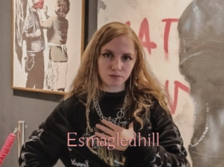 Esmagledhill