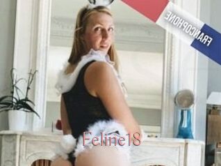 Feline18