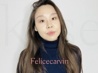 Felicecarvin