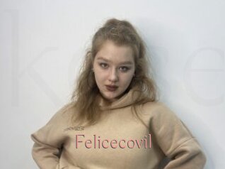 Felicecovil