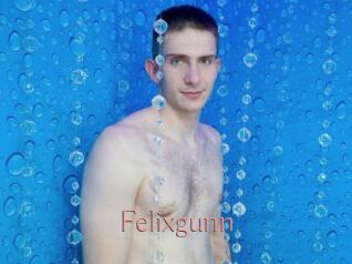 Felixgunn