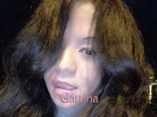 Gattina