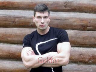 Gektor