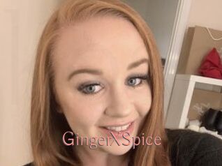 GingerXSpice