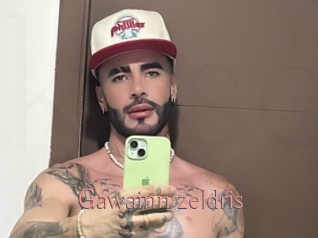 gawainn_zeldris Kostenlose Sexcams