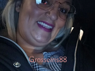 Grosseins88