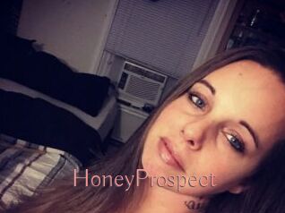 HoneyProspect