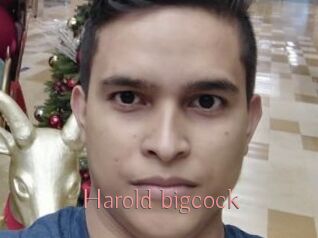 Harold_bigcock