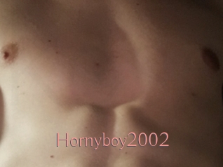 Hornyboy2002