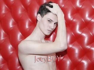 JoeyB0Y