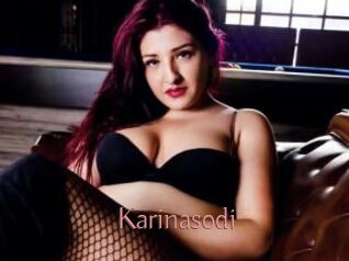 Karinasodi