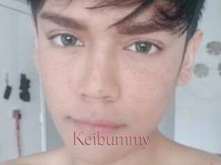 Keibummy