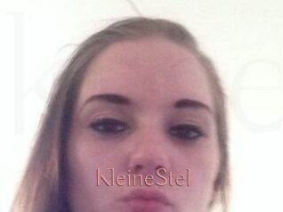 KleineStel