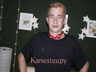 Kanesteepy