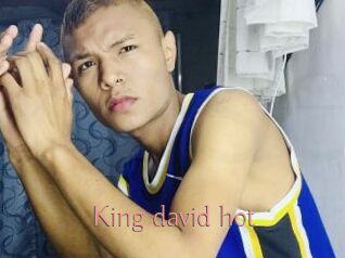 King_david_hot