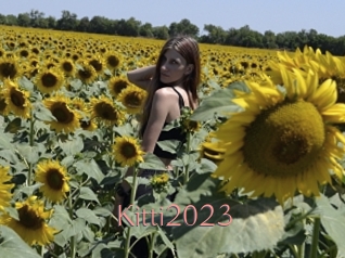 Kitti2023