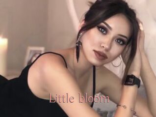 Little_bloom Kostenlose Sexcams
