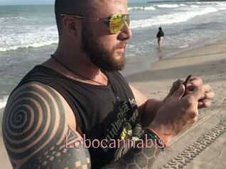 Lobocannabis