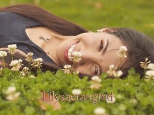 Lilysaetangmd