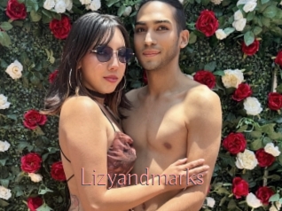 Lizyandmarks