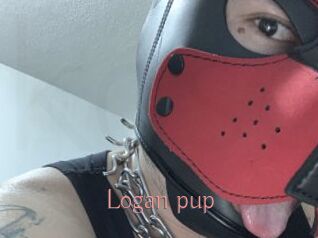 Logan_pup