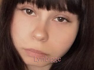 Lynbigge