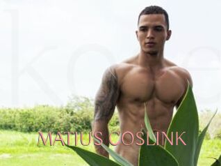 MATIUS_COSLINK