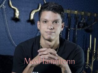 MaxHamintonn