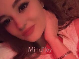 MindiToy