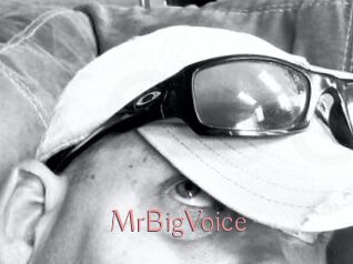 MrBigVoice