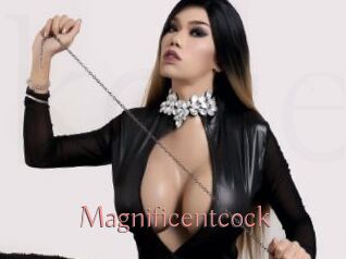 Magnificentcock
