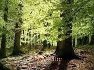 Martiaitor