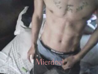 Mierdoel