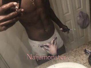 Naijamonster