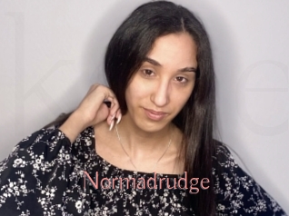 Normadrudge