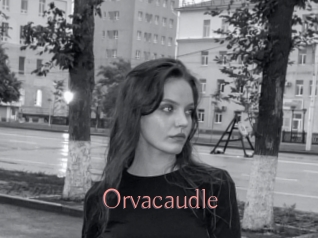 Orvacaudle