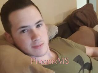 PhoenixMS