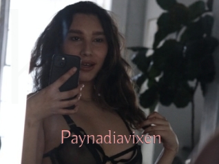 Paynadiavixen
