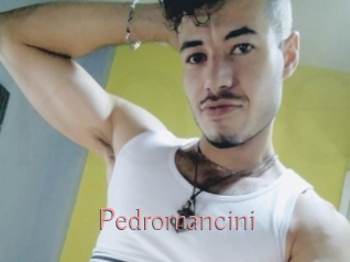 Pedromancini