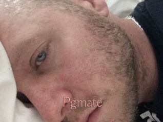 Pgmate
