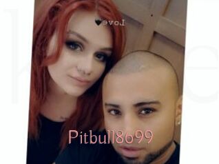 Pitbull8699