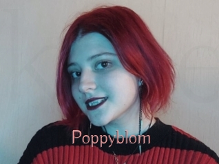 Poppyblom