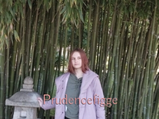 Prudencefigge