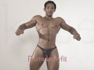 Pumebonyfit